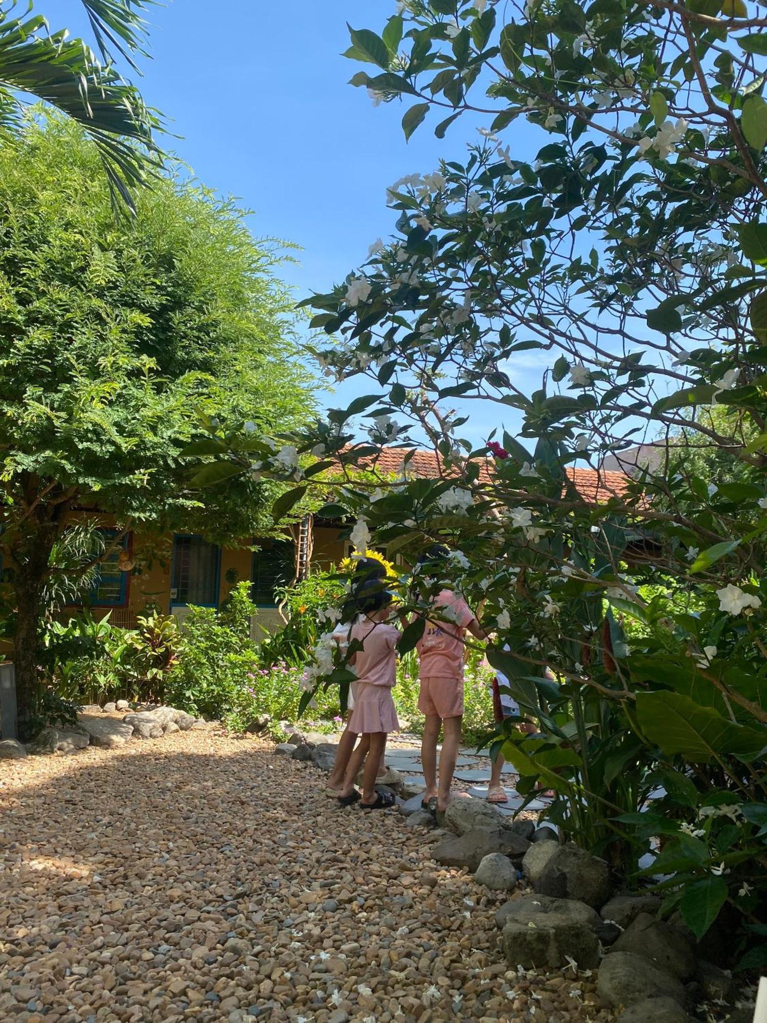 Yellow Farm Homestay Dong Tac Екстер'єр фото