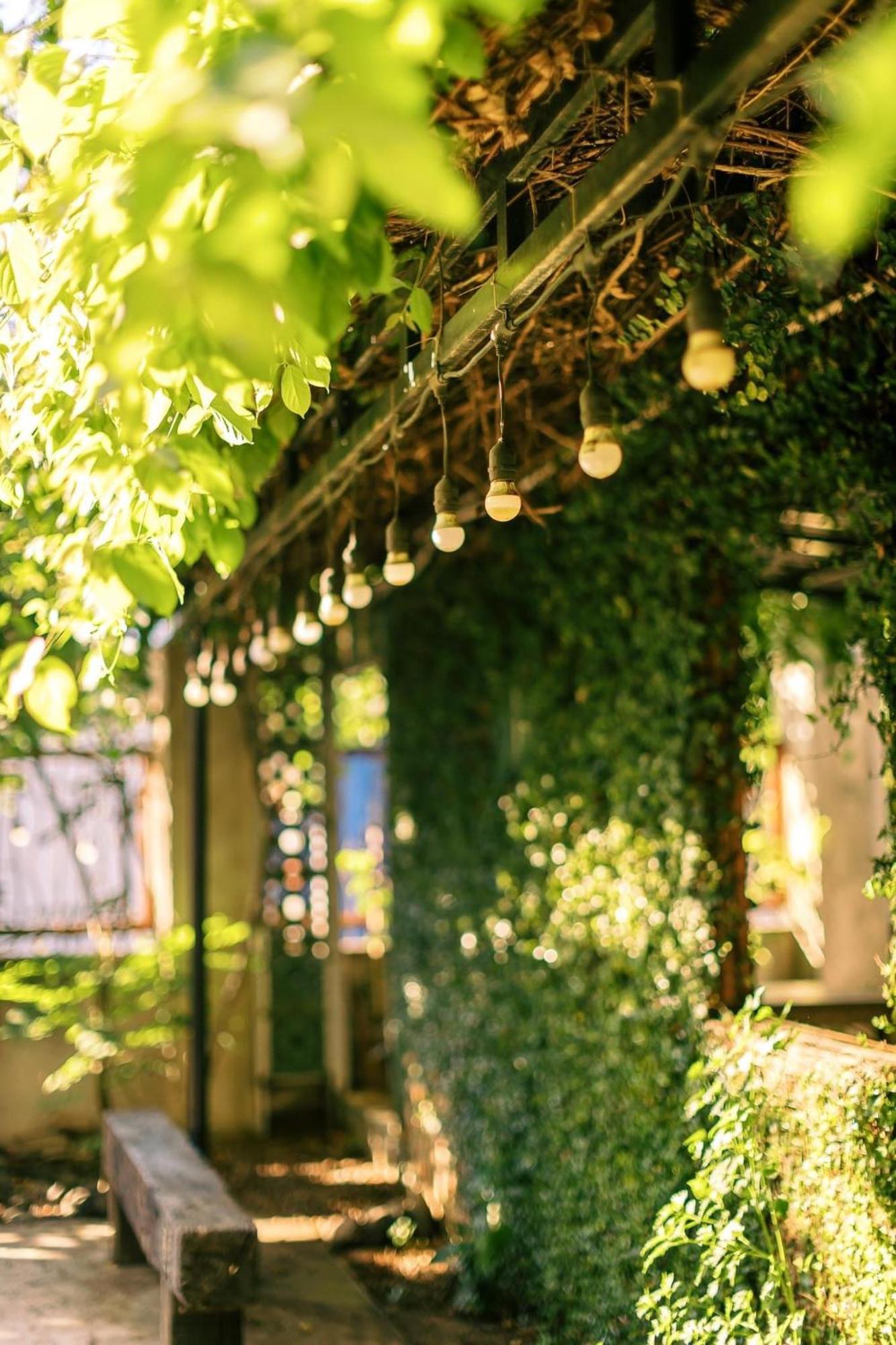 Yellow Farm Homestay Dong Tac Екстер'єр фото