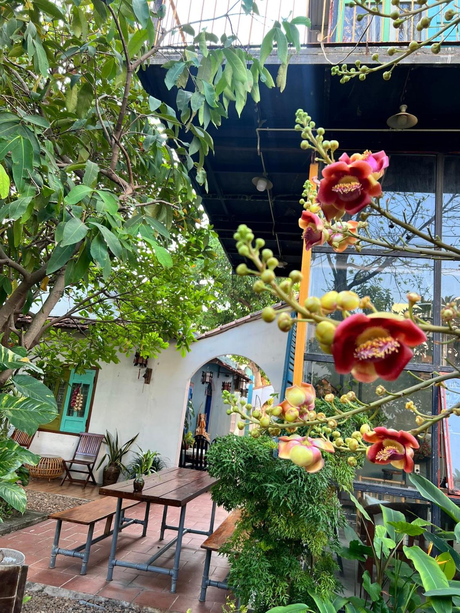 Yellow Farm Homestay Dong Tac Екстер'єр фото